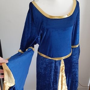 Womens plus size 1X Velour Renaissance dress.